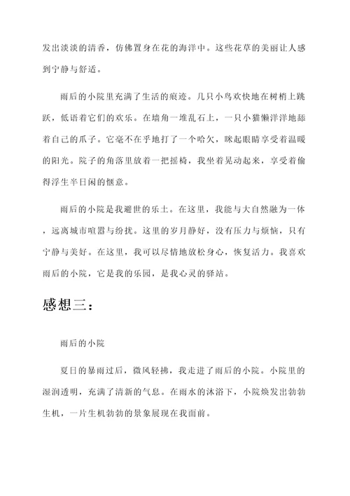 雨后的小院感想