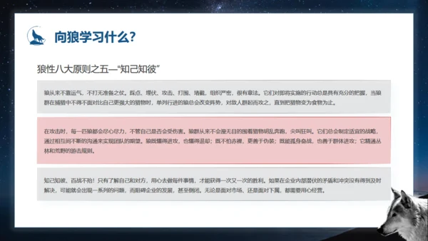 如何打造狼性团队培训狼文件通用PPT模板