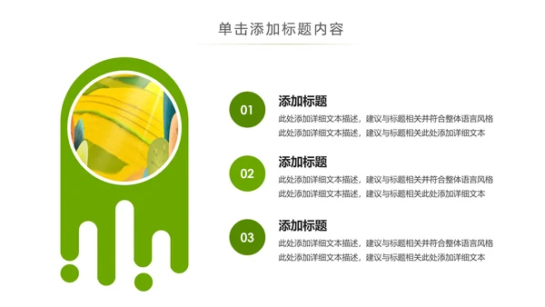 美丽新农村建设城镇优化振兴乡村PPT模板