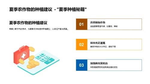 小暑农耕知识解析