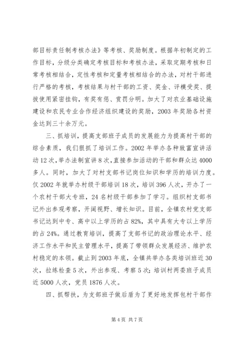 抓好支部书记队伍建设大力推进“两个创新”工作学习心得.docx