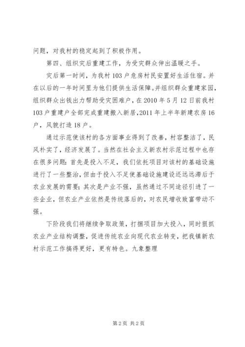 乡镇社会主义新农村示范村建设总结.docx