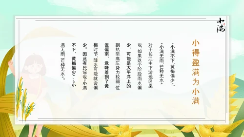 食粮丰收麦穗小满PPT模板