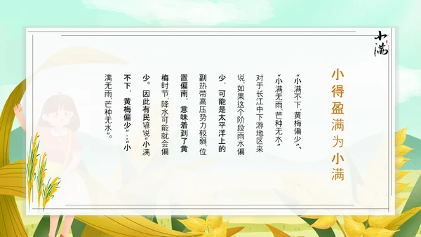 食粮丰收麦穗小满PPT模板