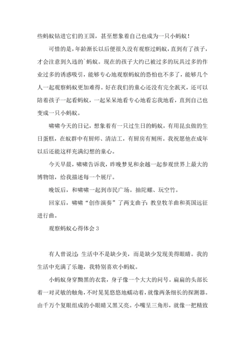 观察蚂蚁心得体会.docx