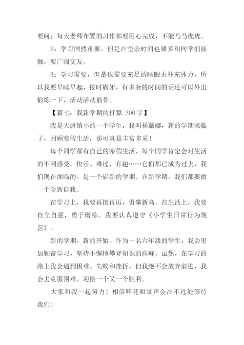 新学期新打算300字.docx