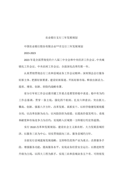 农业银行支行三年发展规划.docx