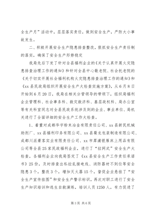 县民政局关于组织开展安全生产大检查情况的报告.docx