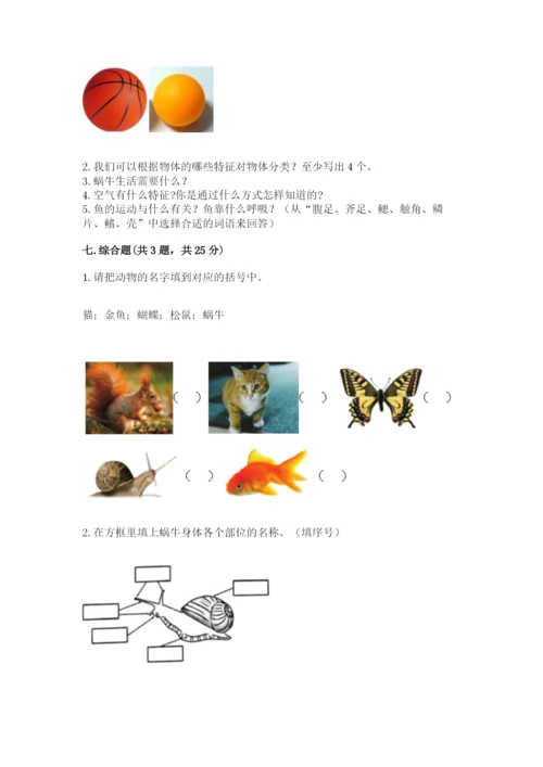 教科版小学科学一年级下册期末测试卷1套.docx