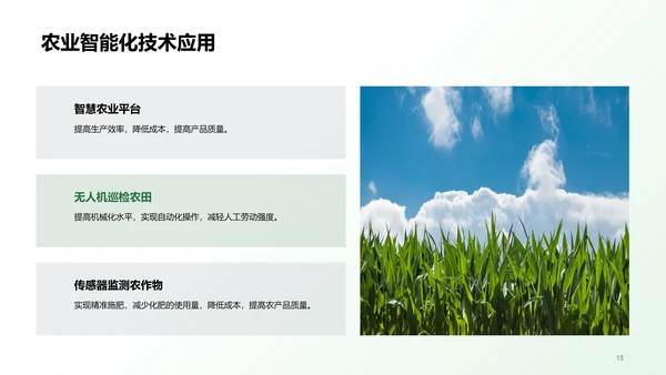 绿色插画农田观察与体验研究报告PPT模板
