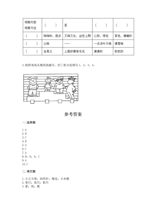 教科版小学一年级上册科学期末测试卷及参考答案【轻巧夺冠】.docx