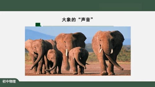 2.3 声的利用 课件（共32张PPT）
