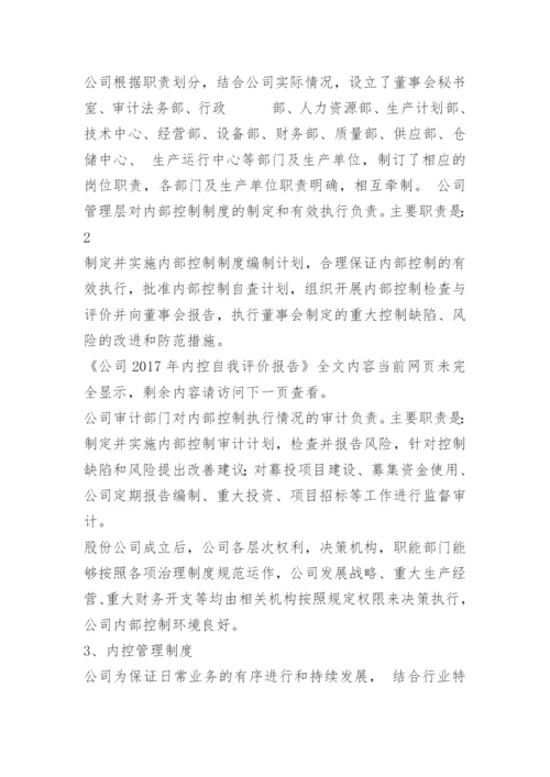 公司内控自我评价报告.docx