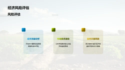 农林更新：投资与回报