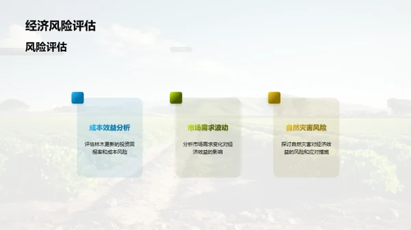 农林更新：投资与回报