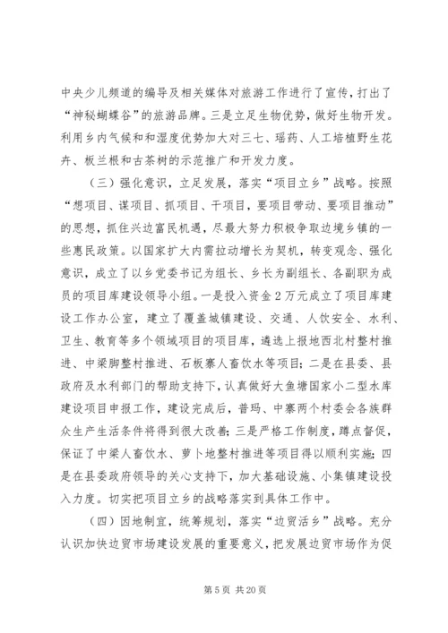 人大巡视调研组领导一行到乡调研汇报材料.docx