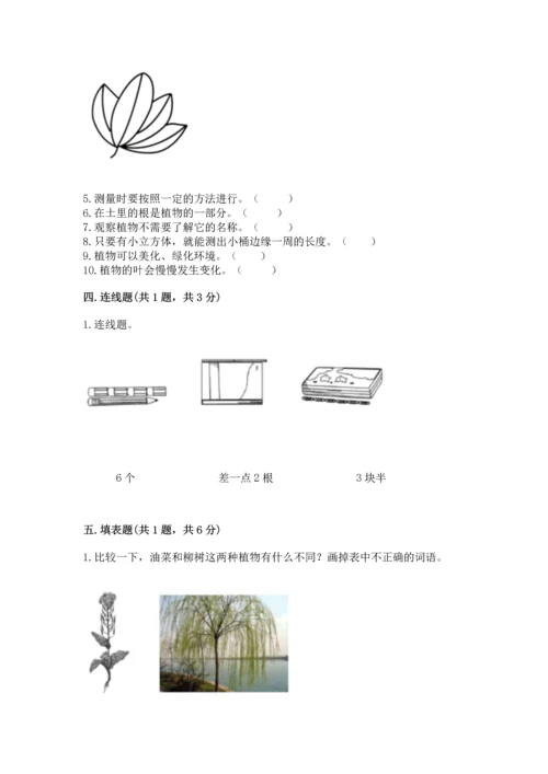 教科版小学一年级上册科学期末测试卷含完整答案（网校专用）.docx
