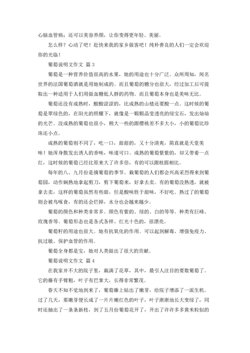 关于葡萄说明文作文锦集六篇.docx