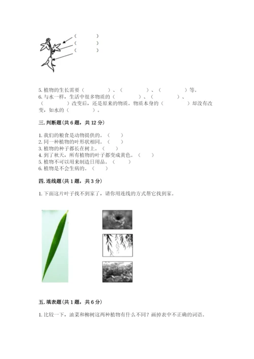 教科版科学一年级上册第一单元《植物》测试卷及完整答案1套.docx