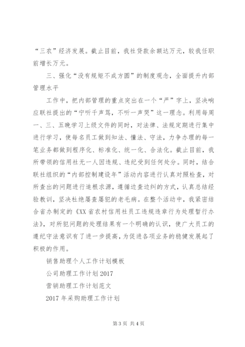 某年助理经济师工作计划范文.docx