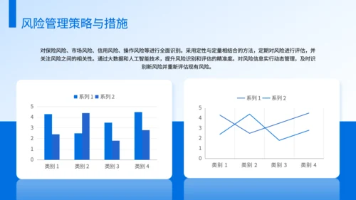 蓝色商务风保险公司风险管理工作规划PPT