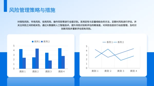 蓝色商务风保险公司风险管理工作规划PPT