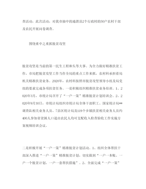 精编年市农村统计工作报告范文.docx