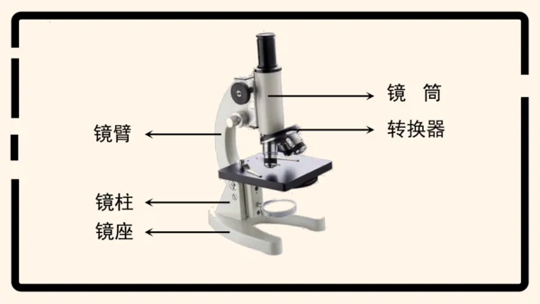 2.1.1练习使用显微镜课件2023--2024学年人教版生物七年级上册(共32张PPT)