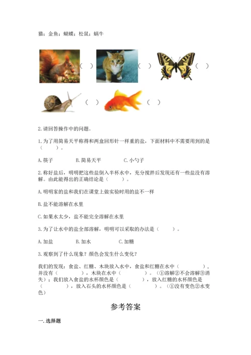 教科版一年级下册科学期末测试卷（精品）word版.docx