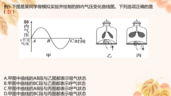 人教版（新课标）七下生物第四单元第一至三章复习课件(共34张PPT)