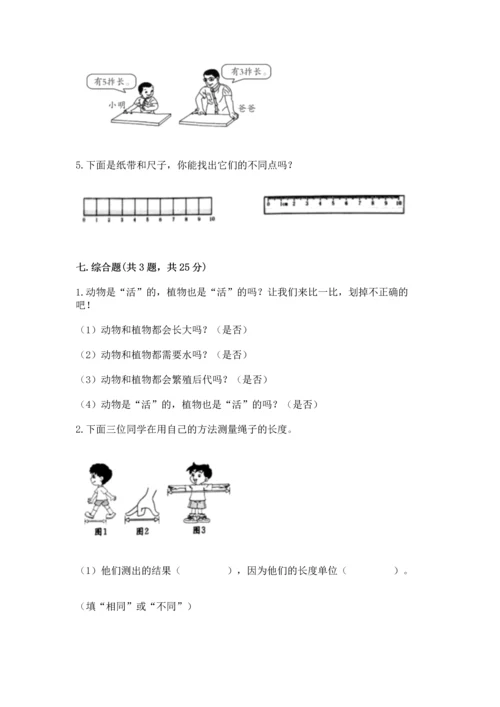 教科版一年级上册科学期末测试卷（中心小学）.docx