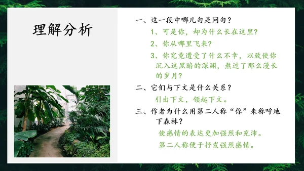 地下森林作家张抗抗作品解读PPT课件