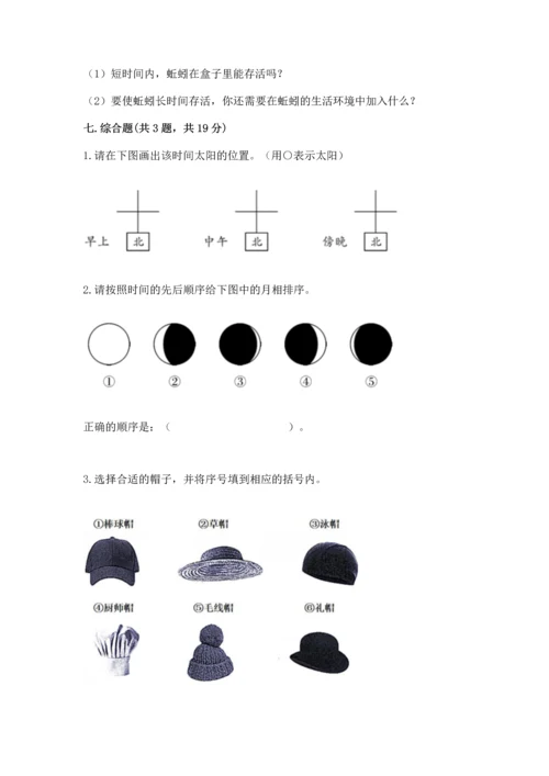 教科版二年级上册科学期末测试卷（实验班）.docx