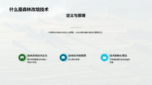 森林改培：绿色致富新途径