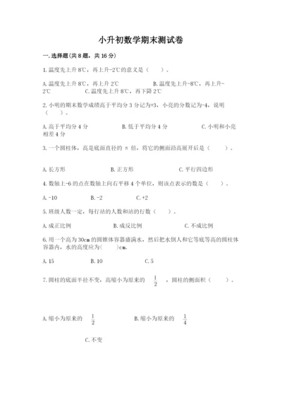小升初数学期末测试卷精品【实用】.docx