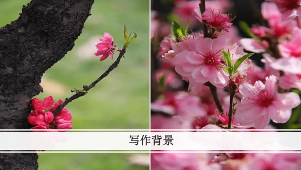 第1课时 生活哲理-单元导读-教学课件-【大单元教学】2022-2023学年七年级语文下册同步备课系