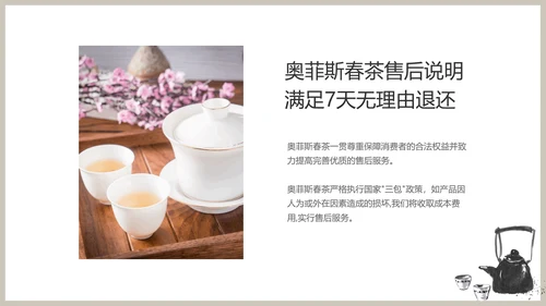 白色春茶产品介绍宣传手册