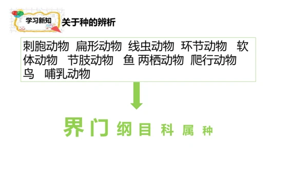 人教版生物七年级上册2.4.2《生物分类的方法——从种到界》课件(共26张PPT)