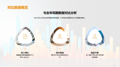 财务半年度分析