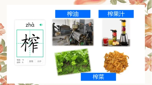 2 落花生 课件