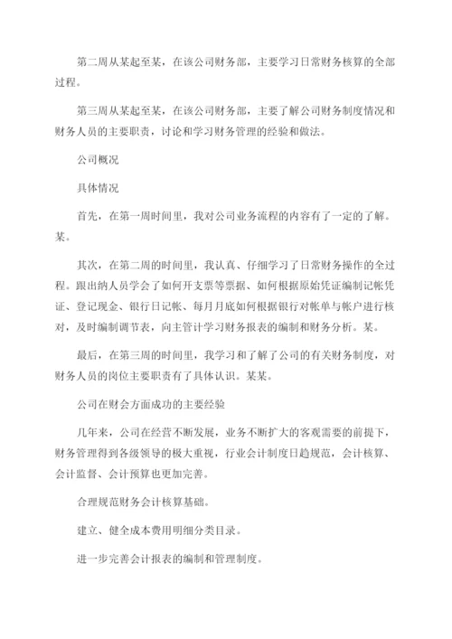 财务会计社会实践报告范文.docx