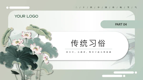 绿色中国风小满节气介绍通用模板