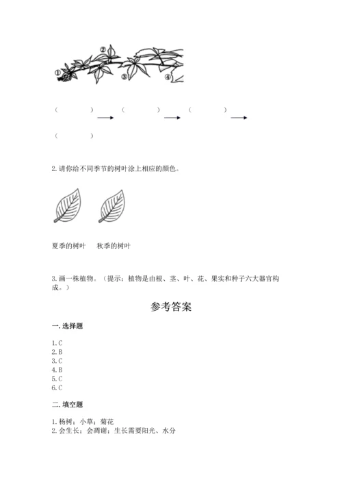 教科版科学一年级上册第一单元《植物》测试卷及完整答案【名师系列】.docx