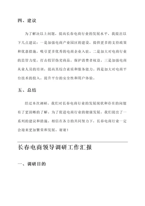 长春电商领导调研工作汇报
