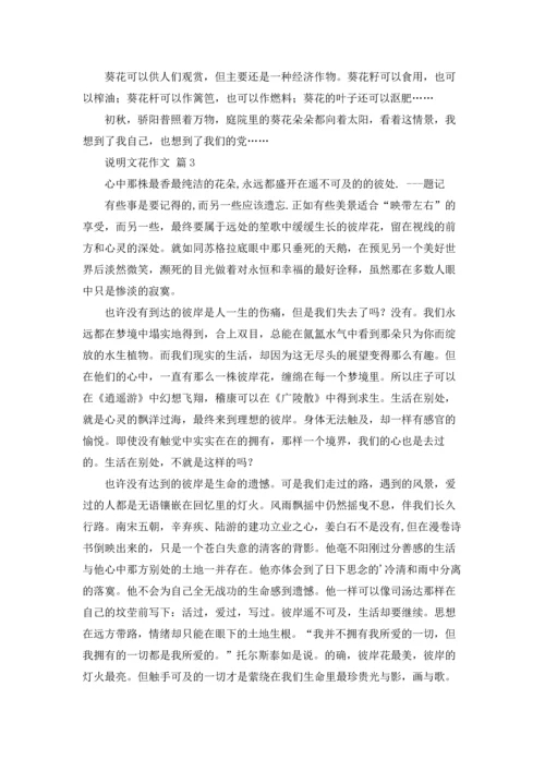关于说明文花作文锦集8篇.docx