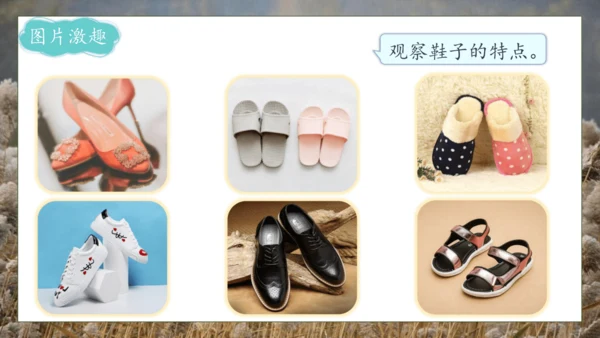【核心素养】部编版语文四年级下册-21.芦花鞋（课件）