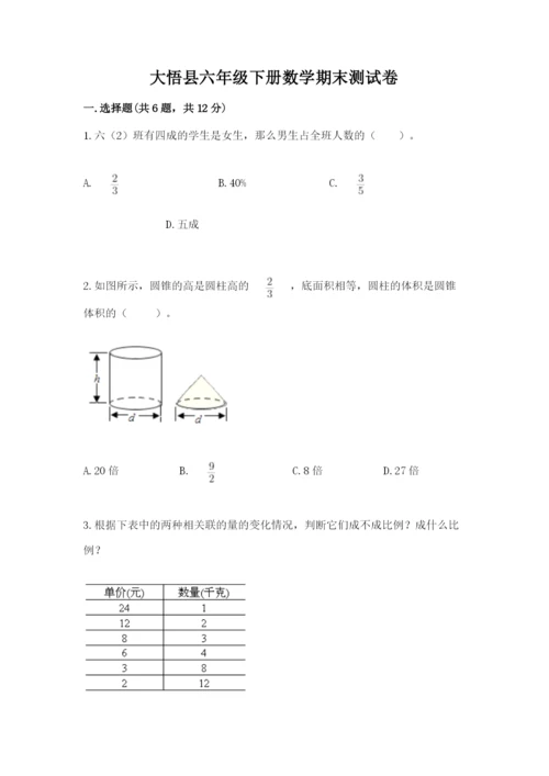 大悟县六年级下册数学期末测试卷精品带答案.docx