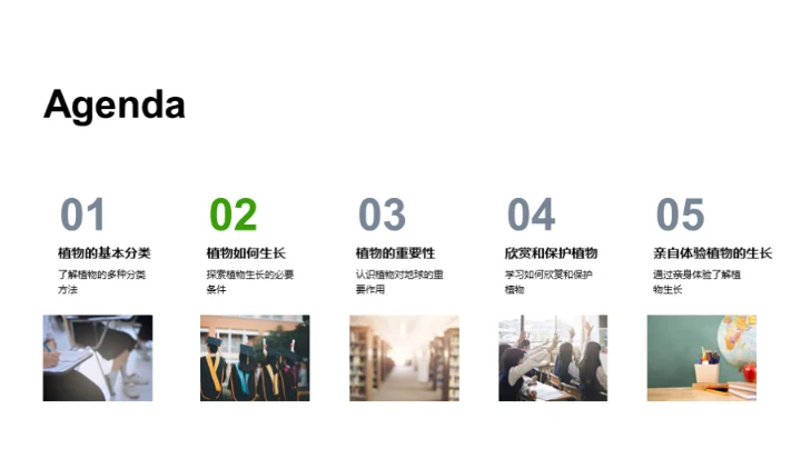 探索植物的奥秘