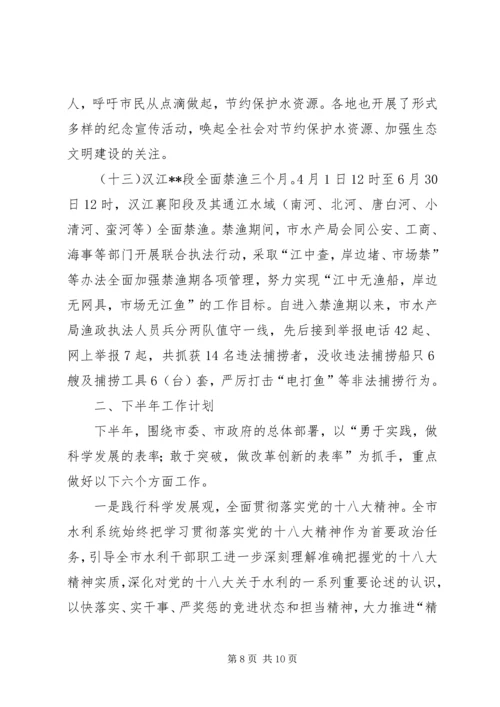 市水利局上半年工作总结和下半年工作计划_1 (2).docx