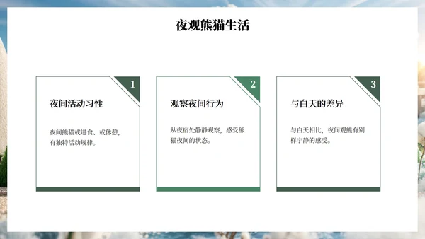 绿色插画毛毡风可爱熊猫城市旅游攻略PPT模板